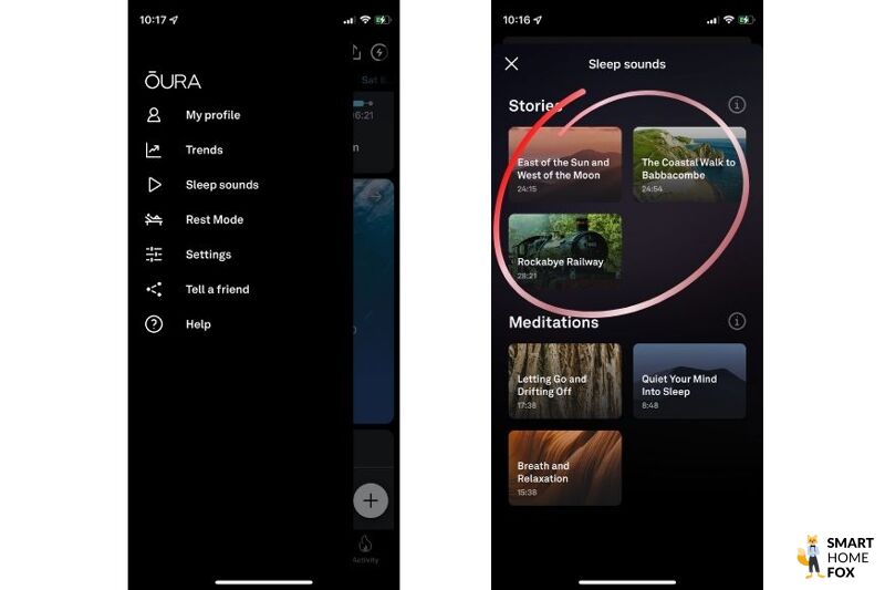В кольце Oura Ring данные можно увидеть после выполнения медитации